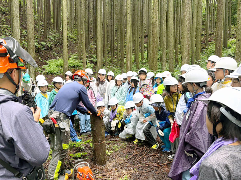 学びの森で森林再生見学